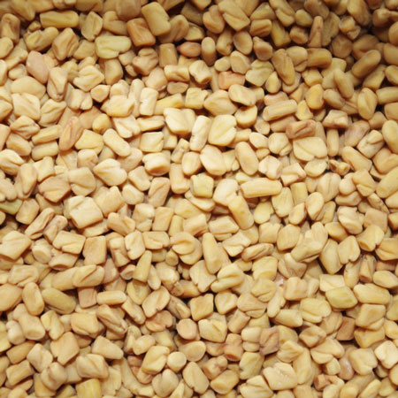 FIENO GRECO - TRIGONELLA NR.300 SEMI