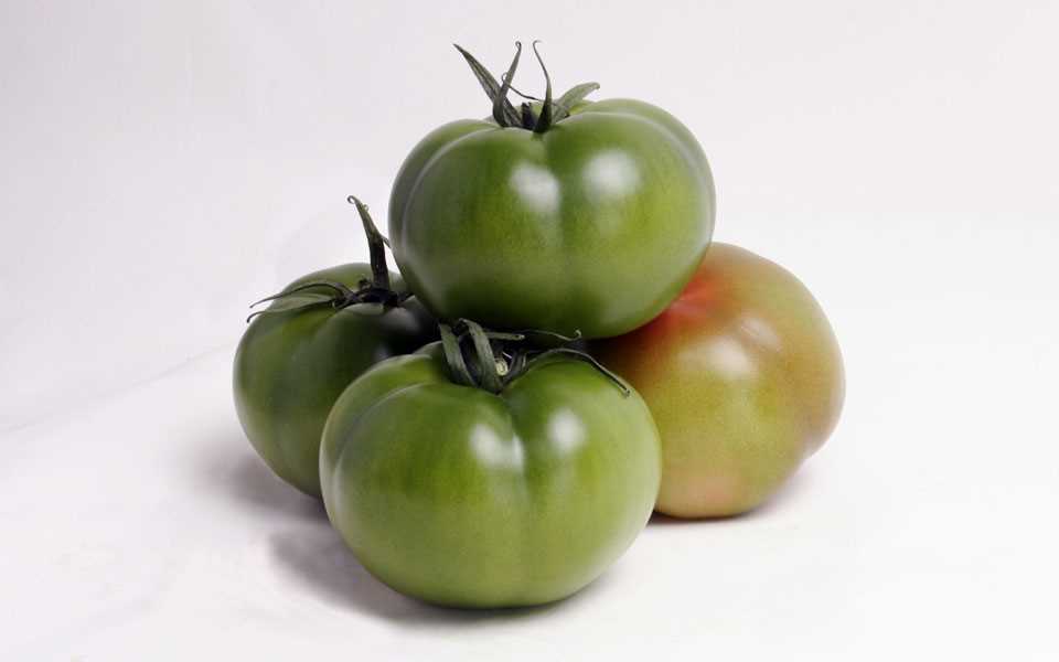 POMODORO GUIOMAR NR.1000 SEMI