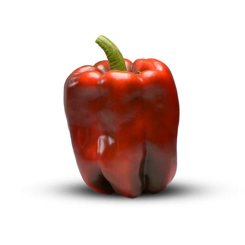 PEPERONE VARZIM NR.1000 SEMI