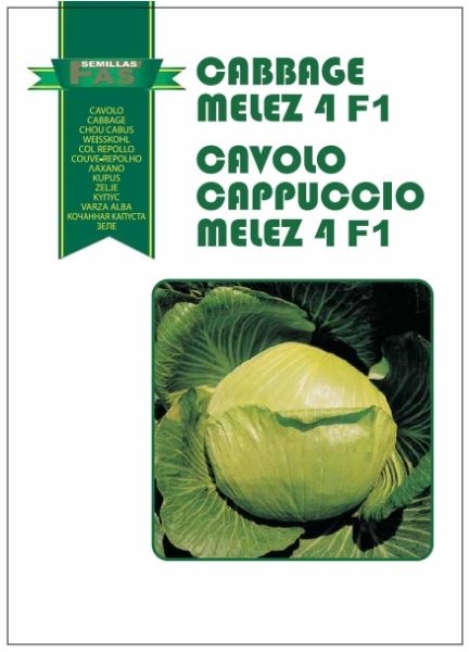 CAVOLO CAPPUCCIO MELEZ 4  F.1 HYBRD. 10.000 SEMI