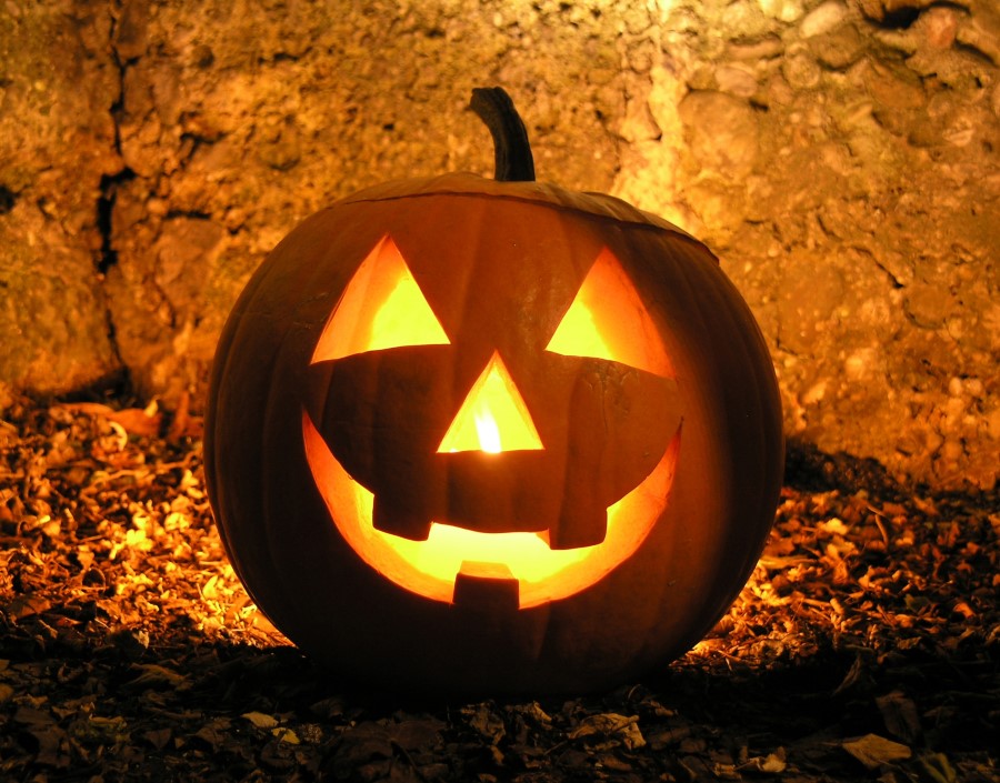 ZUCCA HALLOWEEN NR.20 SEMI