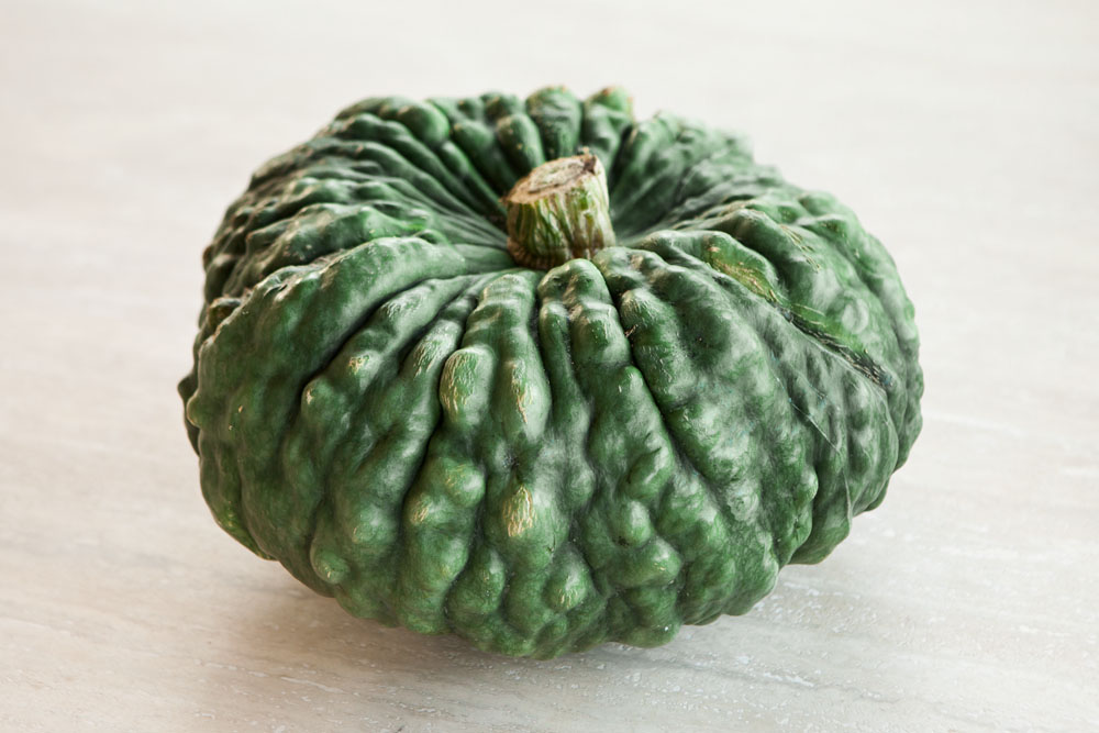 ZUCCA MARINA DI CHIOGGIA NR.15 SEMI