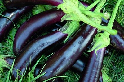 MELANZANA LUNGA NERA DEGLI ORTOLANI GR.250