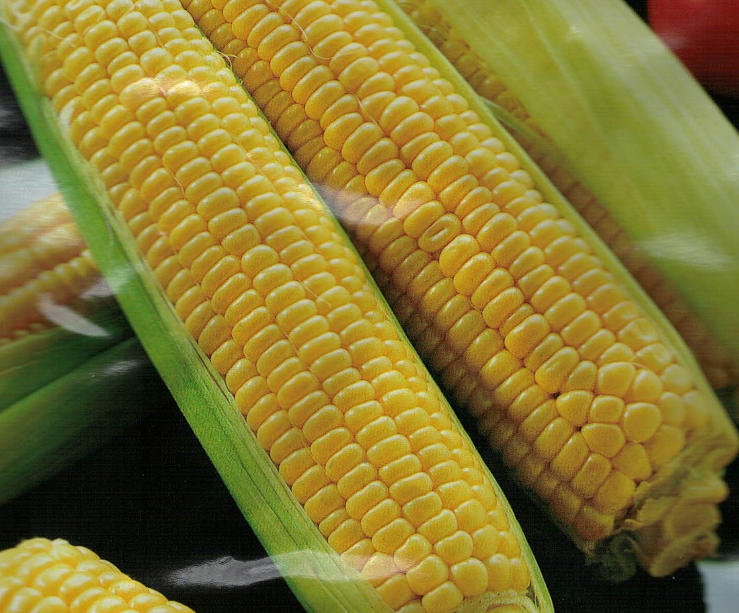 MAIS CHALLENGER F1 NR.40 SEMI