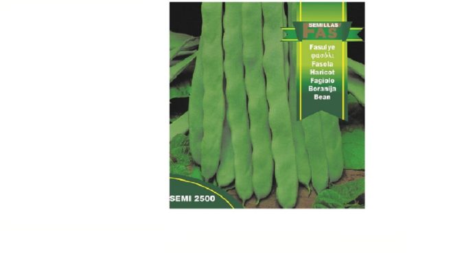 FAGIOLO NANO NADIA HOBBY GR 500