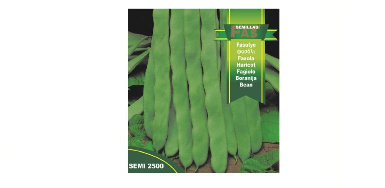 FAGIOLO RAMPICANTE MILICA HOBBY GR 500