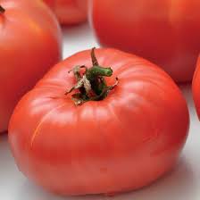 POMODORO PANTANO ROMANESCO NR.200 SEMI