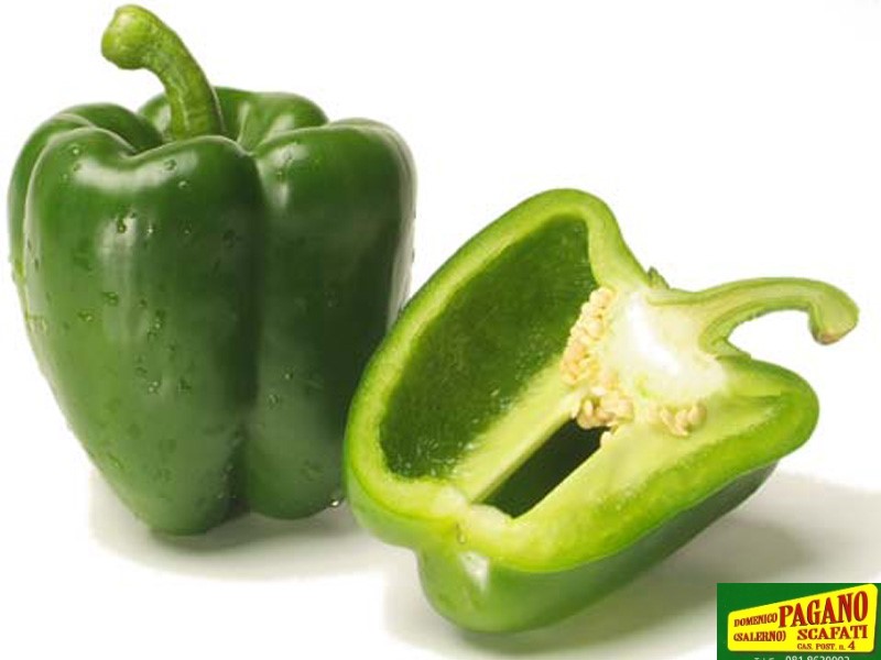 PEPERONE QUADRATO YOLO WONDER GR.10