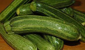ZUCCHINO STRIATO SELEZIONE SAN PASQUALE NR.30 SEMI