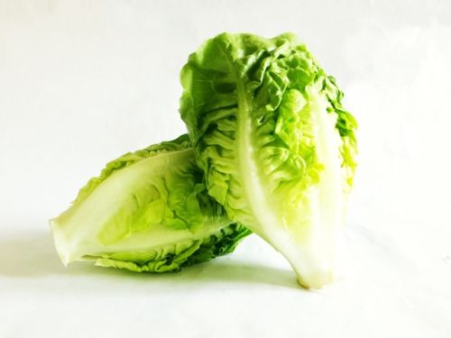 LATTUGA LITTLE GEM NR.1000 SEMI