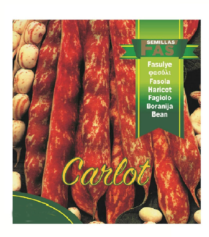 FAGIOLO BORLOTTO NANO CARLOT HOBBY GR 500