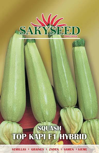 ZUCCHINO TOP KAPI F1 NR.100 SEMI