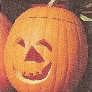 ZUCCA HALLOWEEN GR.10