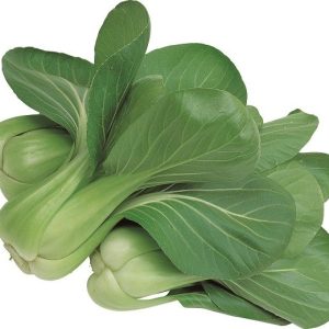 CAVOLO CINESE PAK CHOI VERDE NR.300 SEMI