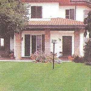 LOIETTO INGLESE PERENNE  KG.10