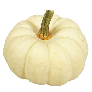 ZUCCA BABY BOO GR.25