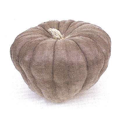 ZUCCA QUEENSLAND BLU GR.10