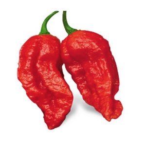 PEPERONCINO PICCANTE NAGA MORICH NR.20 SEMI