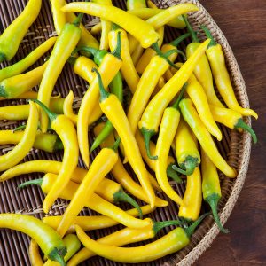 PEPERONCINO PICCANTE GIALLO SELEZIONE LORENZO NR.50 SEMI