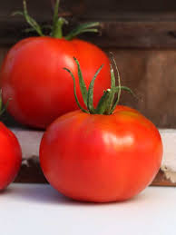 POMODORO MARGLOBE NR.200 SEMI