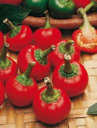 PEPERONE ROSSO TONDO PICCANTE CALABRESE GR.10