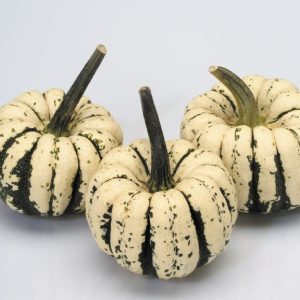 ZUCCA PICCOLA DOLCE COMMESTIBILE GR.10