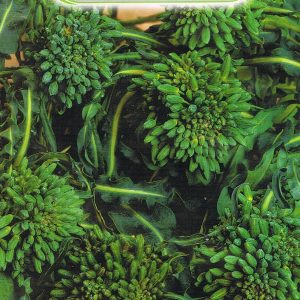 CAVOLO BROCCOLO SPIGARIELLO NR.300 SEMI