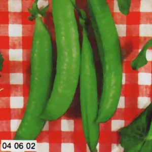 PISELLO RAMPICANTE S.CRISTOFORO GR.500