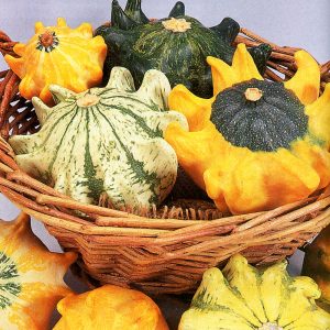 ZUCCA PICCOLA A FORMA DI CORONA GR.25