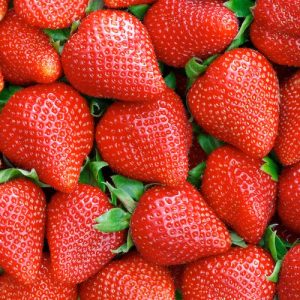 FRAGOLA A FRUTTO GROSSO NR.50 SEMI