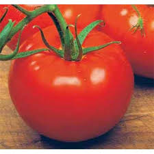 POMODORO SAN PIERRE NR.200 SEMI