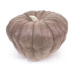 ZUCCA QUEENSLAND BLU NR.5 SEMI