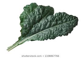 CURLY KALE ( BRASSICA OLERACEA CONVAR. ACEPHALA VAR. SABELLICA NERO DI TOSCANA KG 1