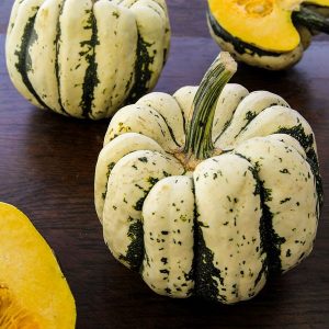 ZUCCA DOLCE PICCOLA COMMESTIBILE NR.25 SEMI