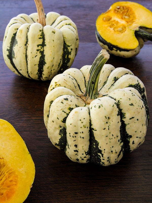 ZUCCA DOLCE PICCOLA COMMESTIBILE NR.25 SEMI