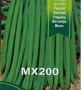 FAGIOLO BOBIS NANO MX 200 - 5000 SEMI
