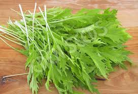 MIZUNA ( BRASSICA RAPA SSP. NIPPONICA) GREEN KG 1