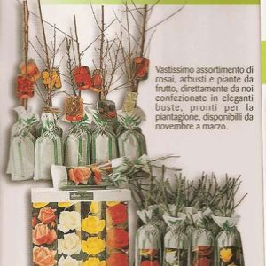 PERCOCCHI