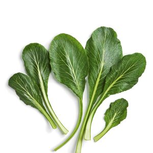 KOMATSUNA CABBAGE KOMATSUNA ( BRASSICA RAPA VAR. PERVIRIDIS)  GREEN KG 1