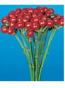 PEPERONCINO PICCANTE ROSSO A FORMA DI CILIEGIA NR.100 SEMI