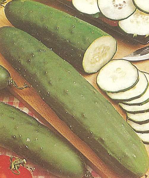 CETRIOLO LUNGO VERDE DEGLI ORTOLANI GR.100