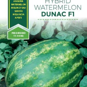 ANGURIA DUNAC F.1 NR.100 SEMI