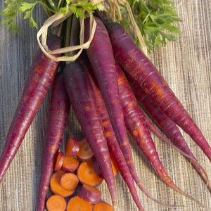 CAROTA PORPORA NR.200 SEMI