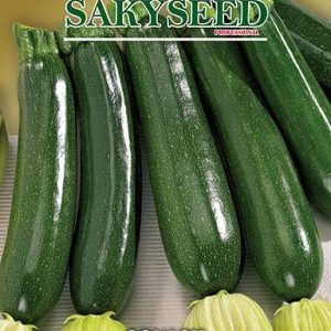ZUCCHINO F.1 PRESIDENT NR.100 SEMI