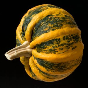 ZUCCA KAMO KAMO NR.30 SEMI