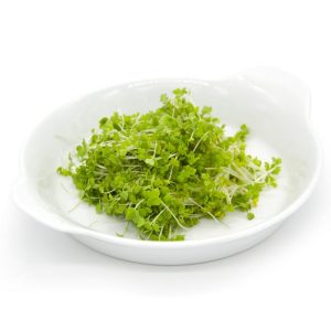 RUCOLA COLTIVATA VERDE 1 BUSTA EURO 1