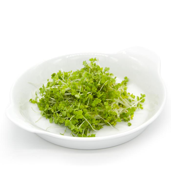 RUCOLA COLTIVATA VERDE 1 BUSTA EURO 1
