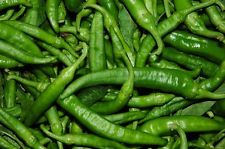 PEPERONCINO FRIARIELLO VERDE DI NAPOLI (FRIGGITELLO) NR.200 SEMI