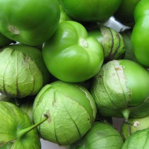 TOMATILLO AMARYLLA NR.200 SEMI