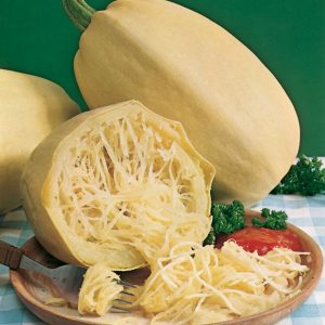 ZUCCA SPAGHETTI NR.25 SEMI